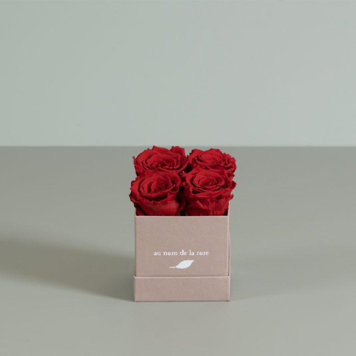 Coffret di rose stabilizzate