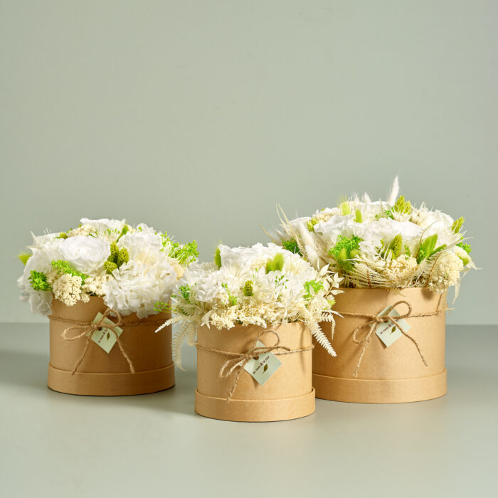 CAP STABI FAMILY BIANCO.jpg