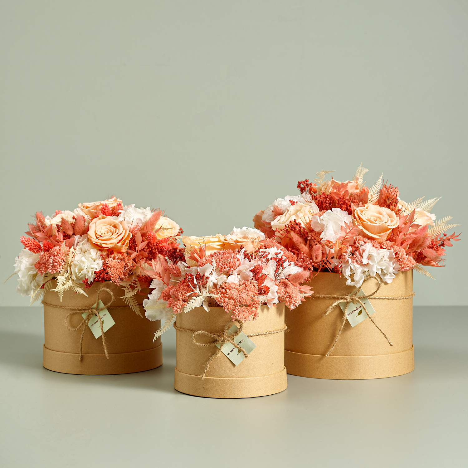 CAP STABI FAMILY CIPRIA.jpg