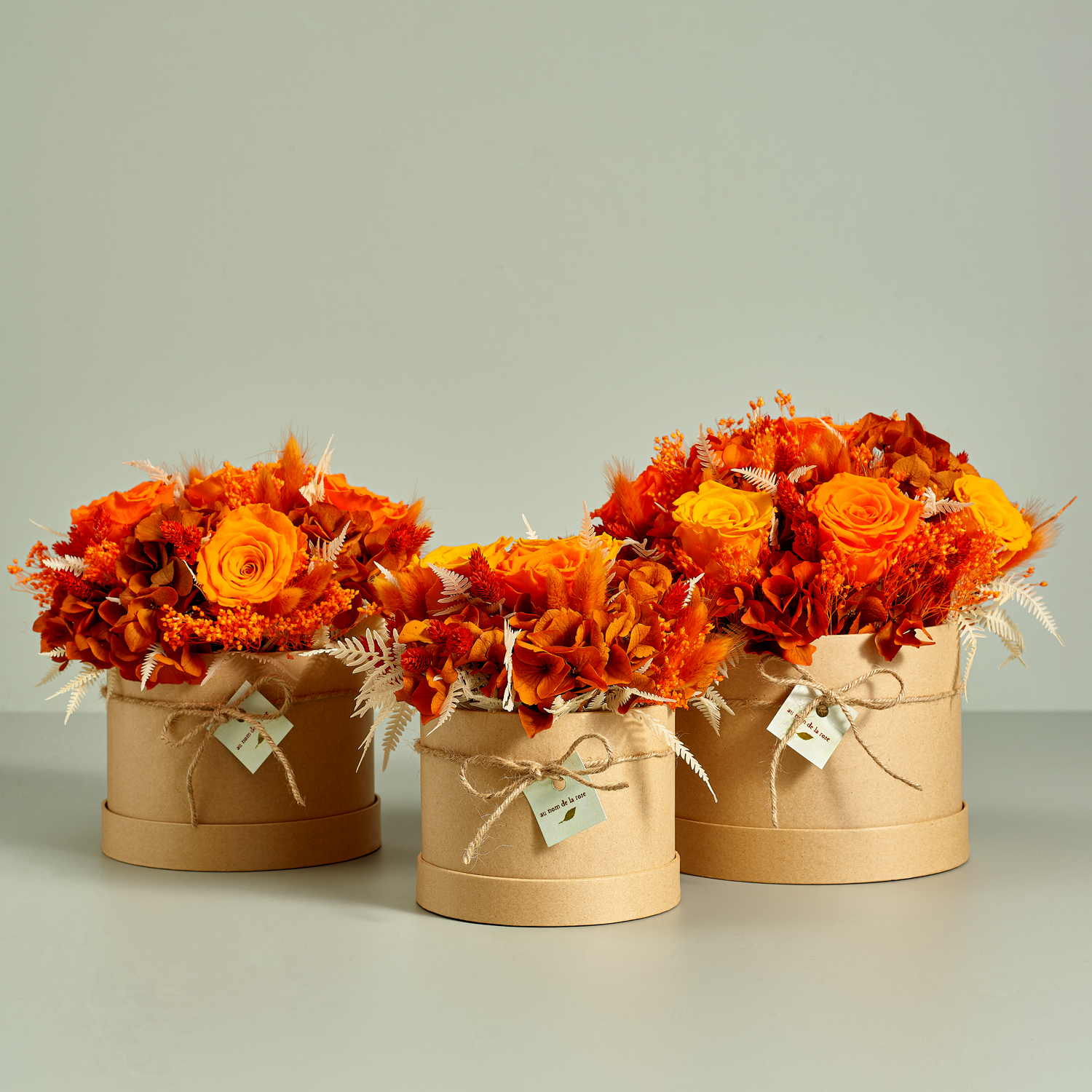 CAP STABI FAMILY GA.jpg