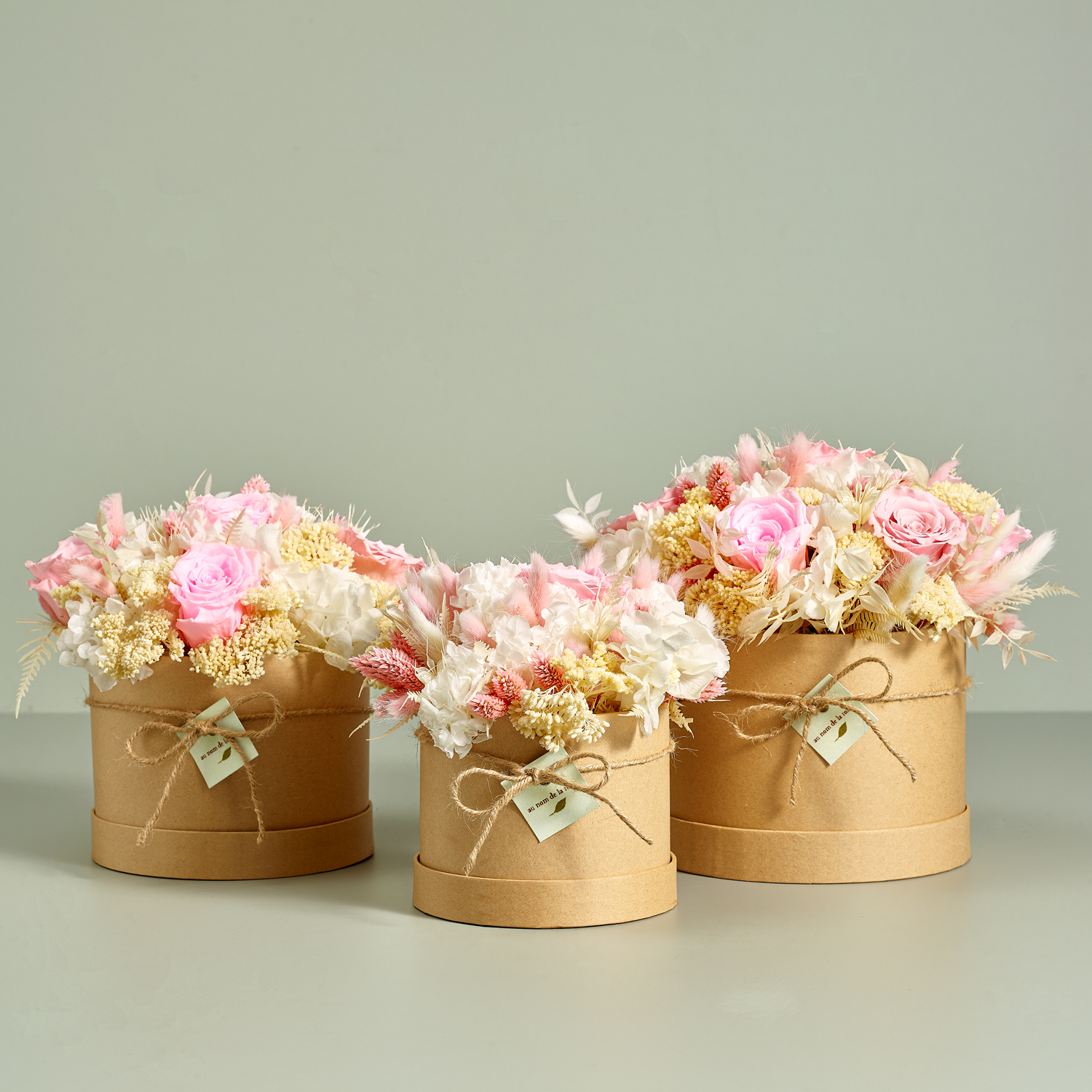 CAP STABI FAMILY PASTELLO.jpg