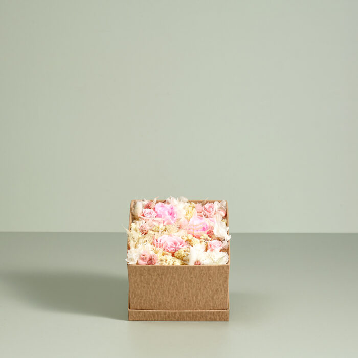 COFFRET PASTELLO T2.jpg