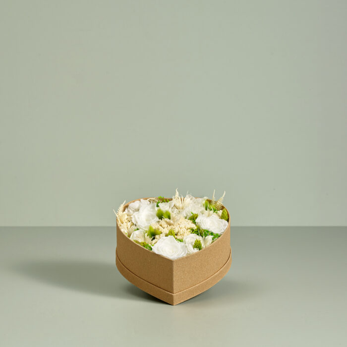 CUORE STABI BIANCO T2.jpg