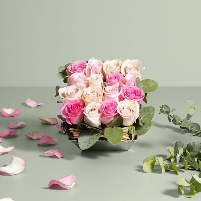 Composizione quadrata di rose fresche